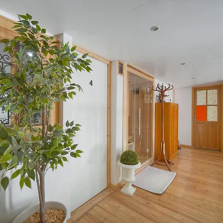 Appartement 6bedroom Duplex With Sauna, Ac Wi-fi Cannes